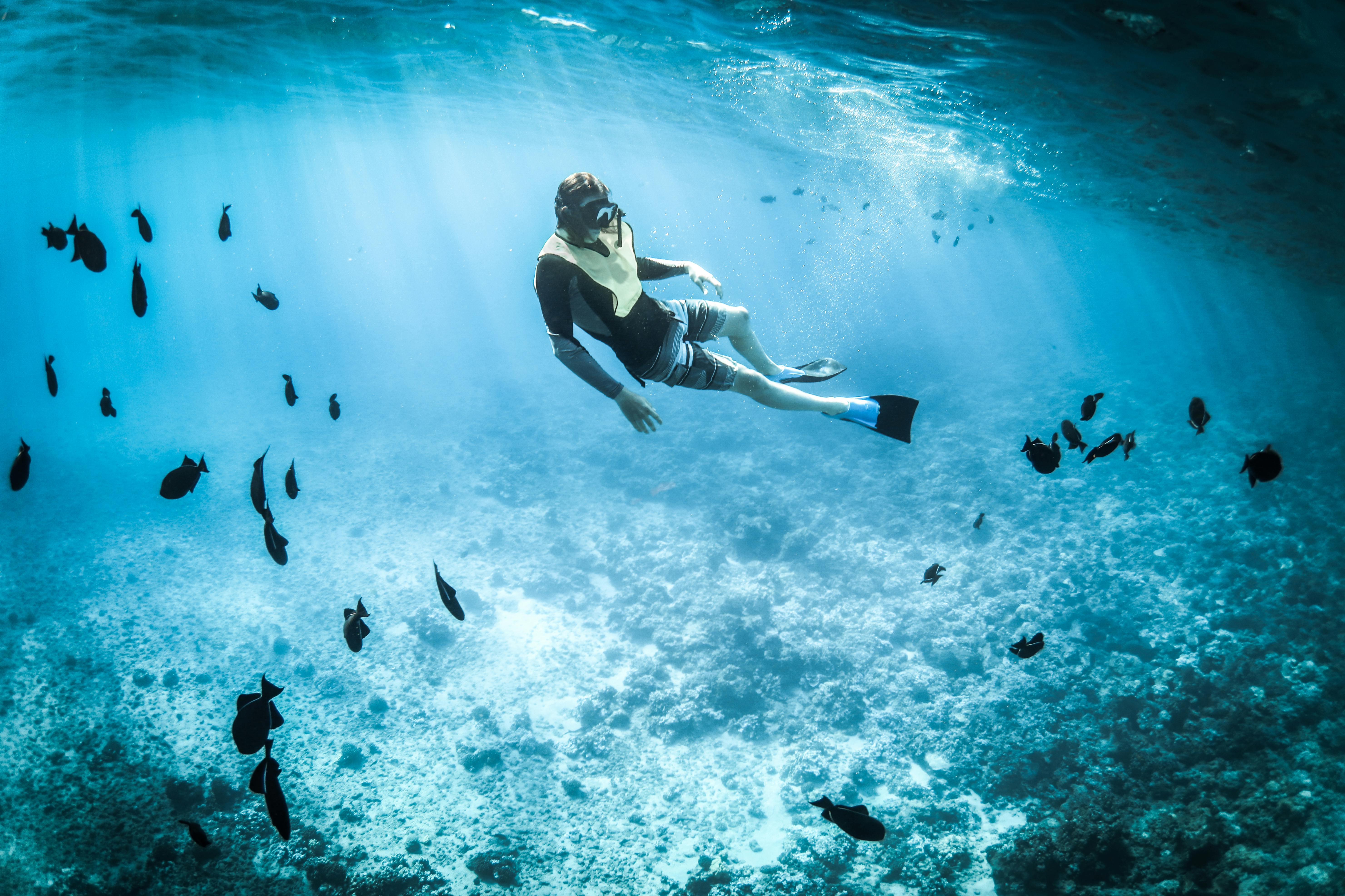 house reef snorkelling